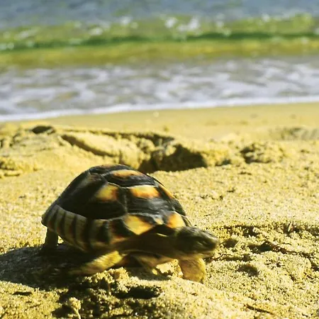 Resort Igv Club Santaclara