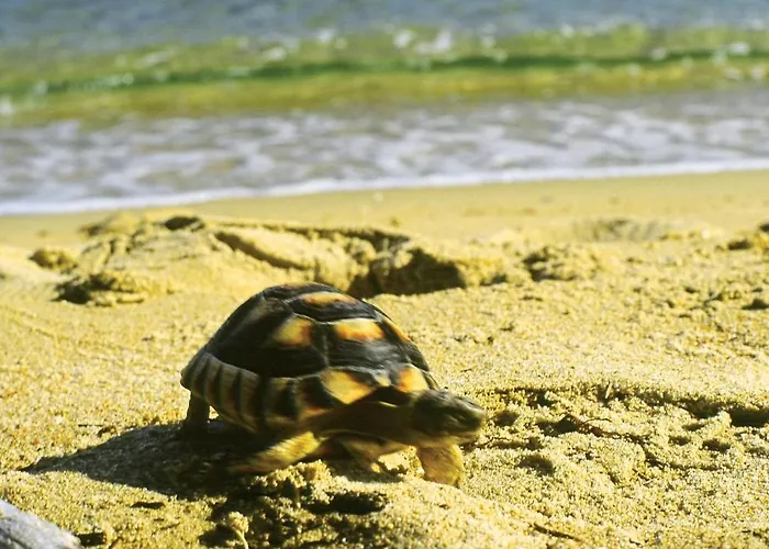 Resort Igv Club Santaclara